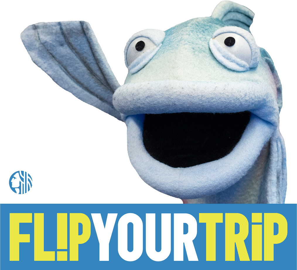 Flip Your Trip logo with Sal the Salmon waving